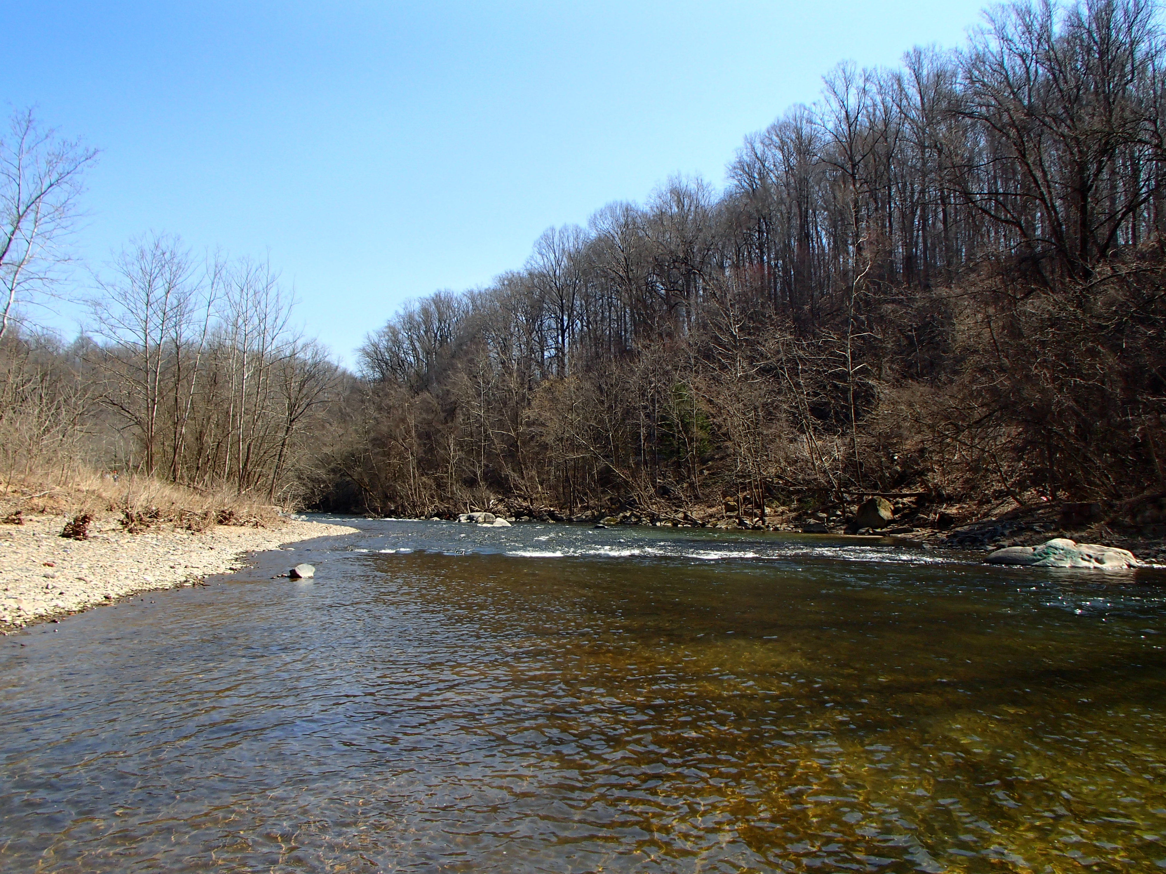 Field photo showing stream conditions at site PATL-B08-X-2016_midpoint looking downstream